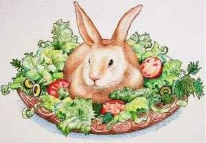 рецепты блюд из кролика